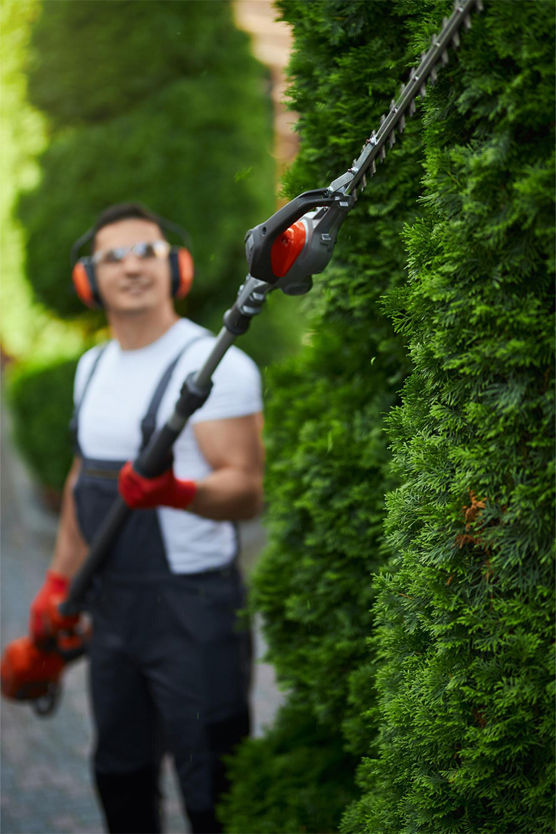 img-jardineria-pag-productos