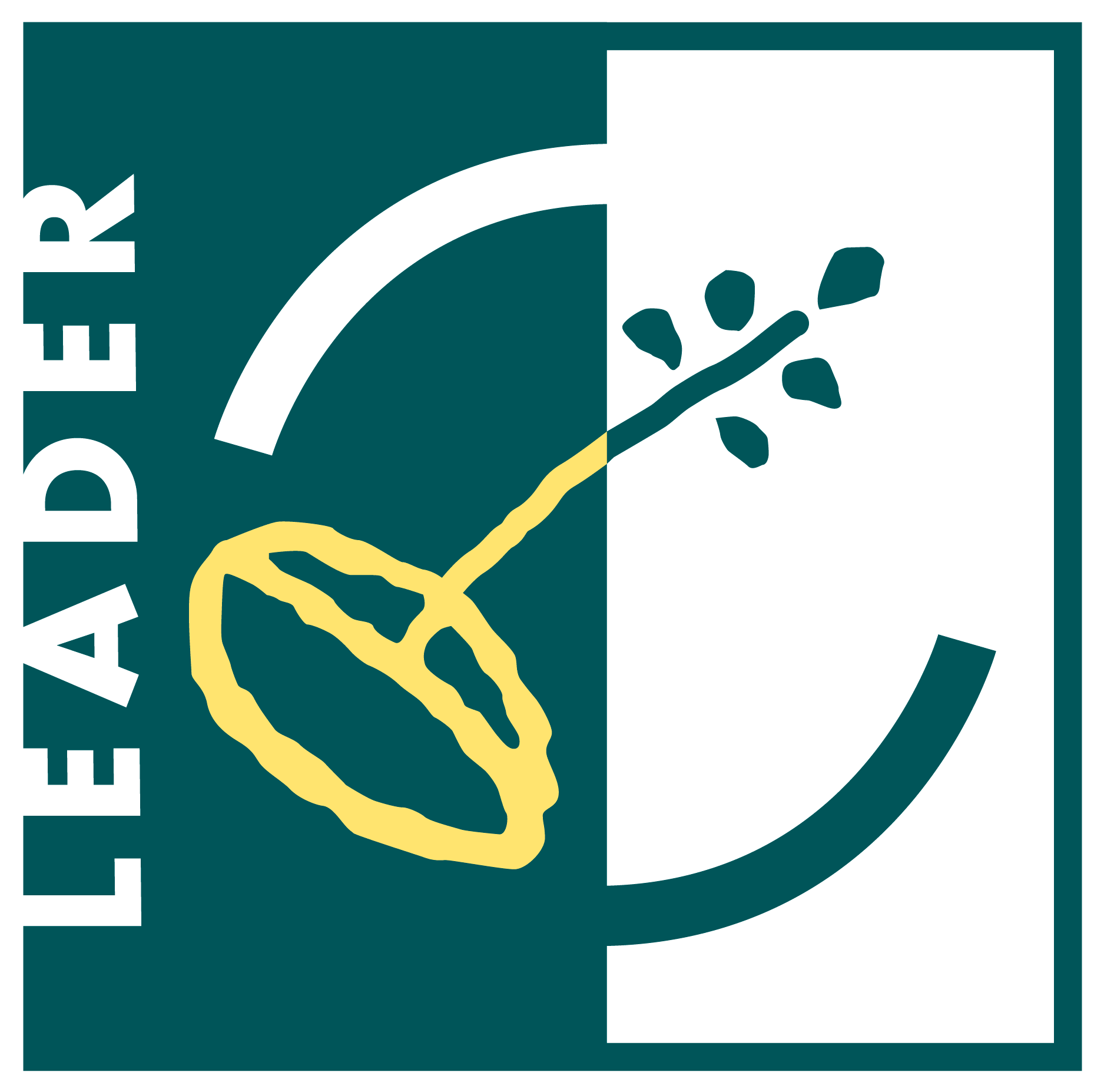 leader_color
